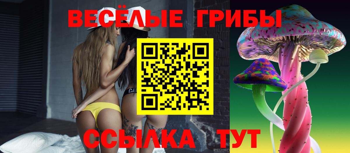 Галлюциногенные грибы Psilocybe  Вход с VPN  Киреевск 